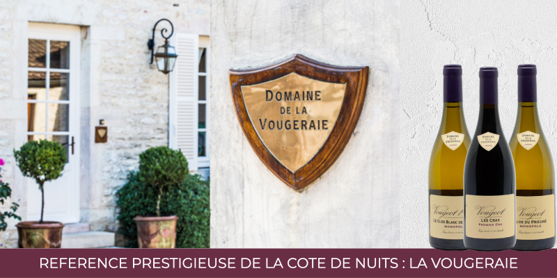 C&ocirc;te de Nuits : focus sur le 2024 du Domaine de la Vougeraie, fleuron de la famille Boisset